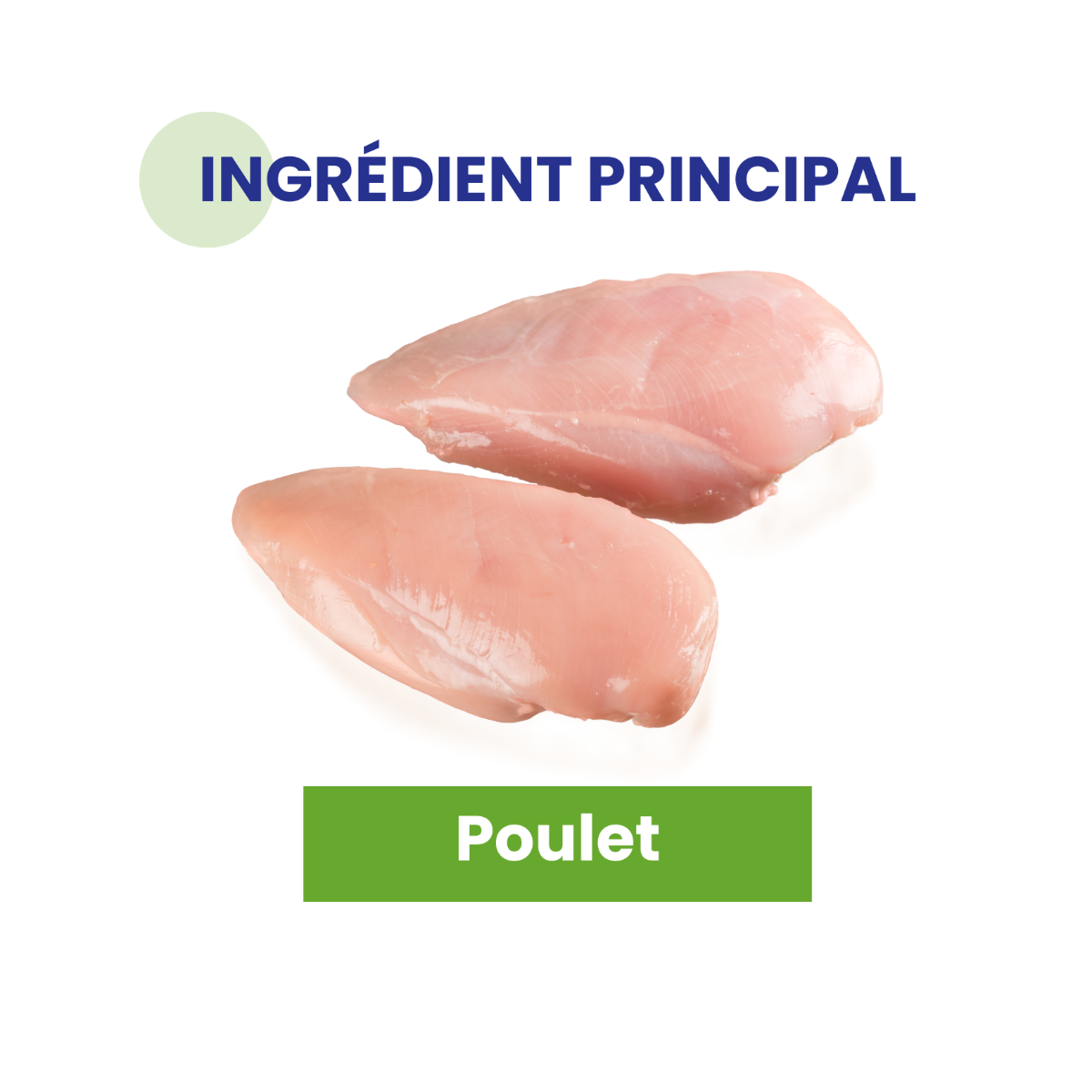 Poulet