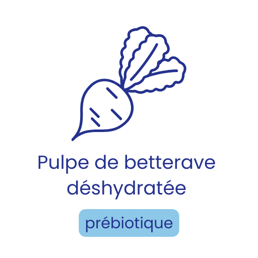 Pulpe de betterave déshydratée