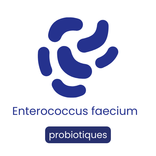 Enterococcus faecium
