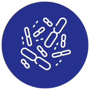 Prébiotiques et probiotiques
