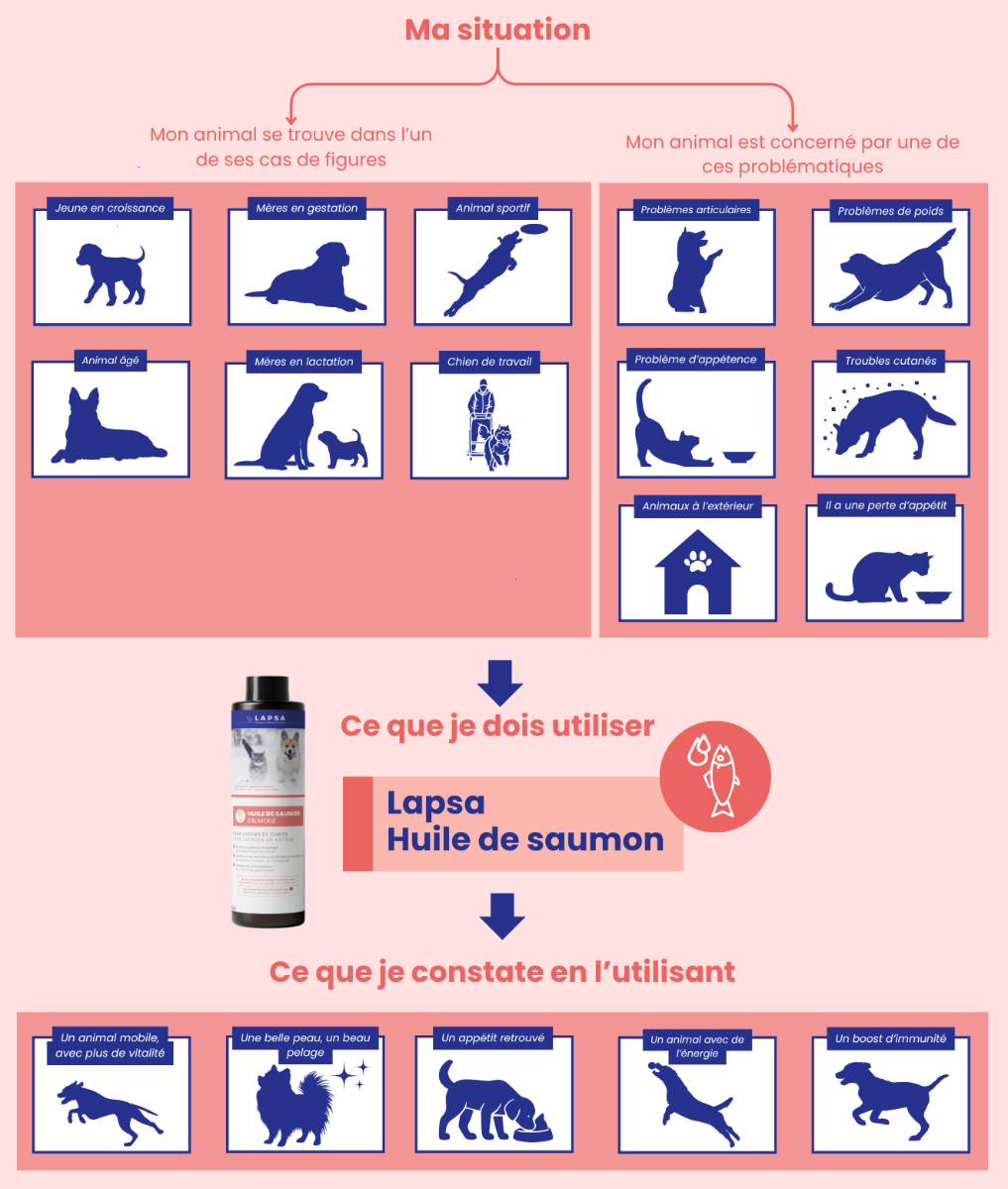Chiens et chats concernés par le produit LAPSA