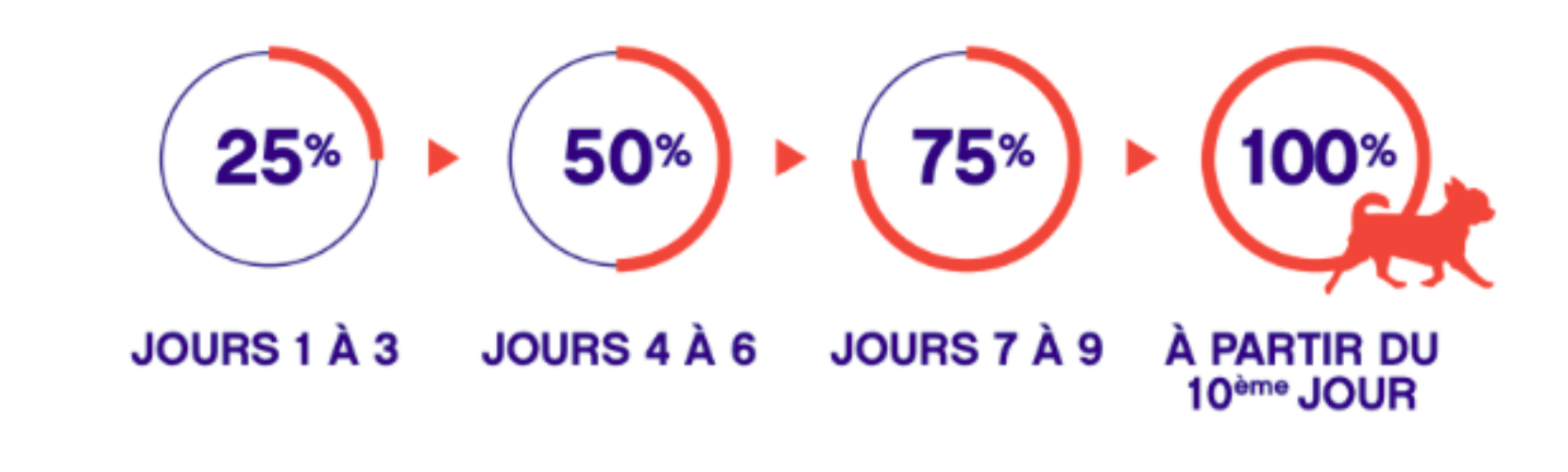 Schéma transition alimentaire