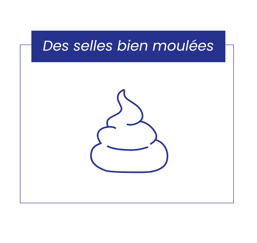 Selles bien moulées