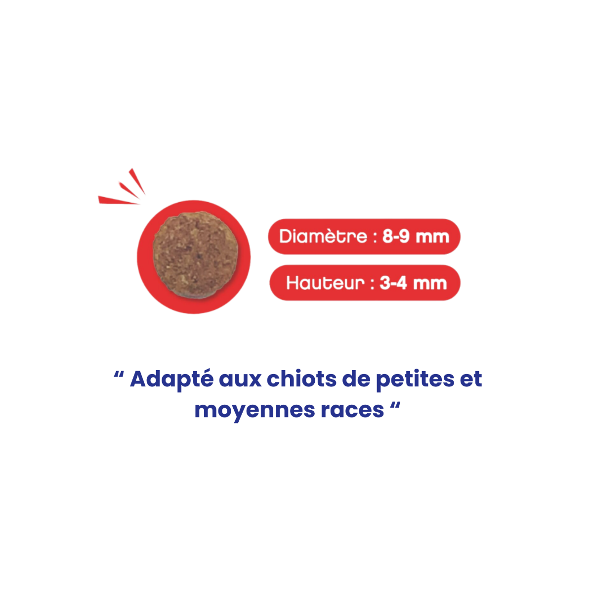 Croquette chiot petite race