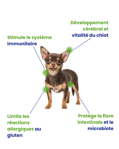 Allégations produit chiot LAPSA