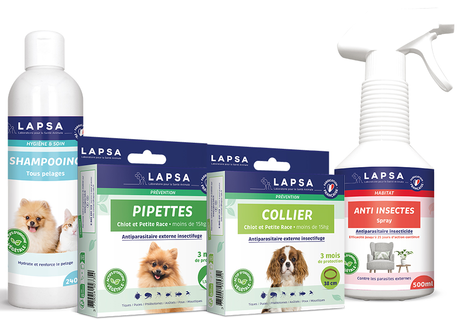 pack complet chien