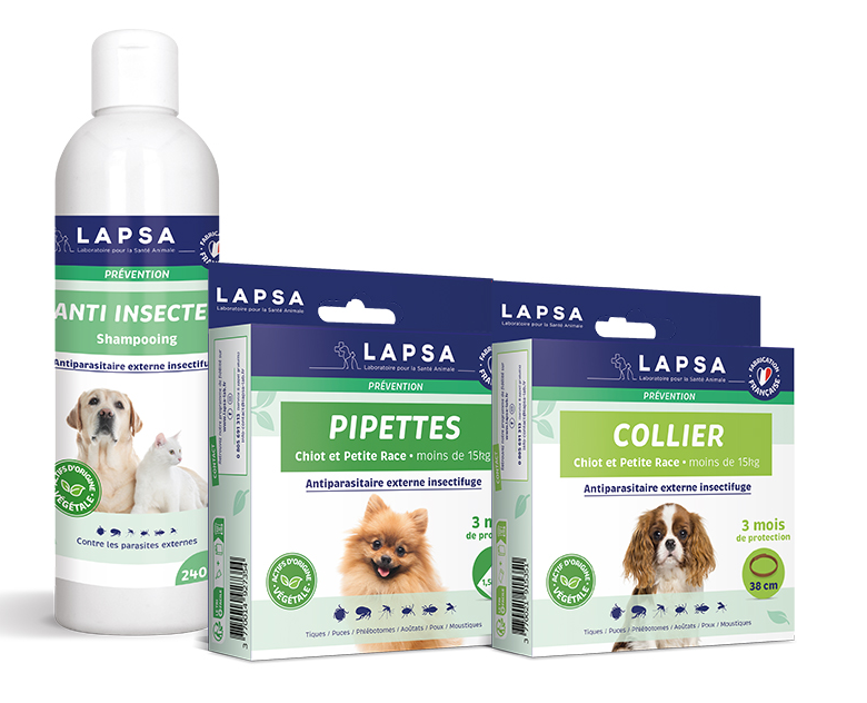 pack prevention plus chien