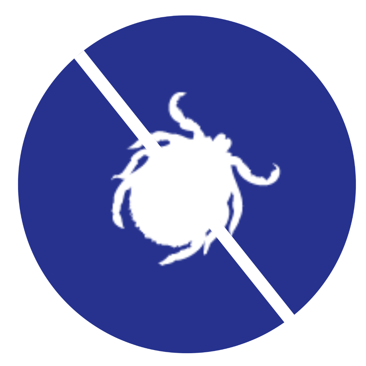 Icône Insectes
