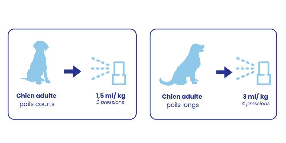 Posologie recommandée LOTION chien