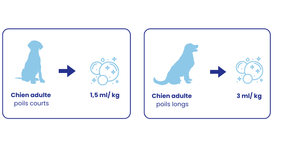 Posologie recommandée pipette chien