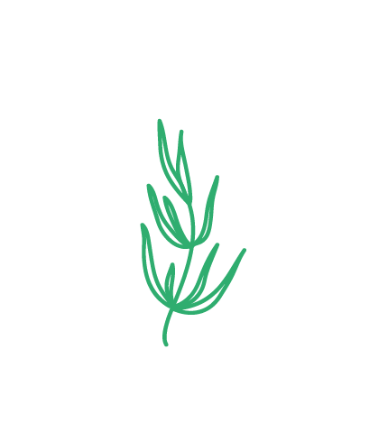Tea Tree