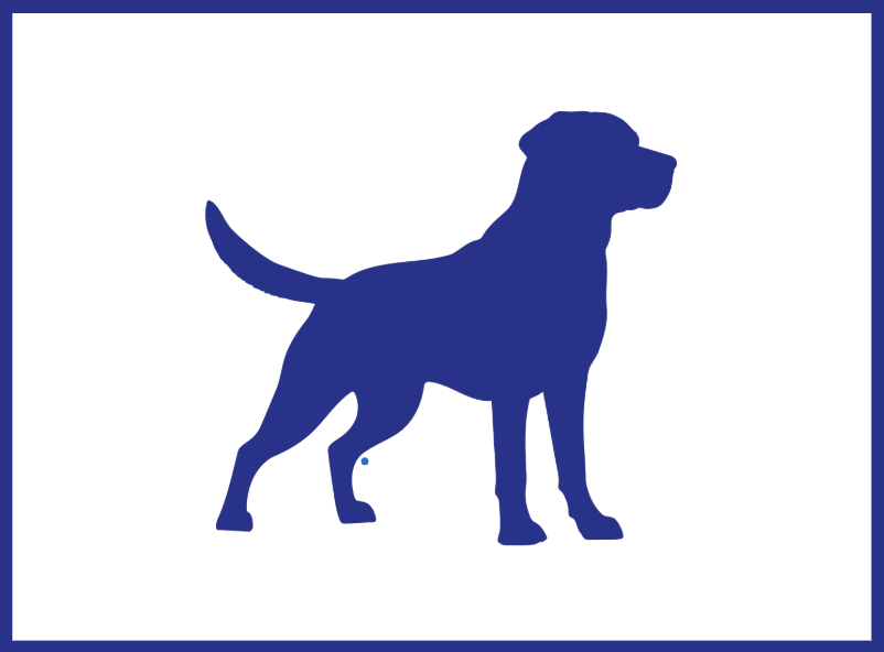 Chien XL