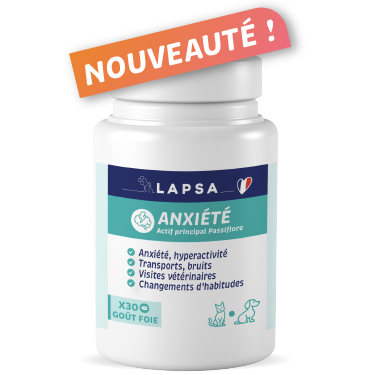 LAPSA ANXIETE