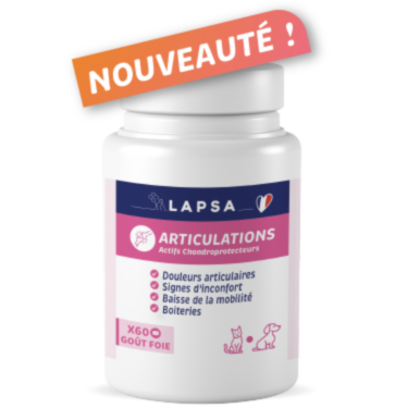 Complément Arthrose Articulation LAPSA