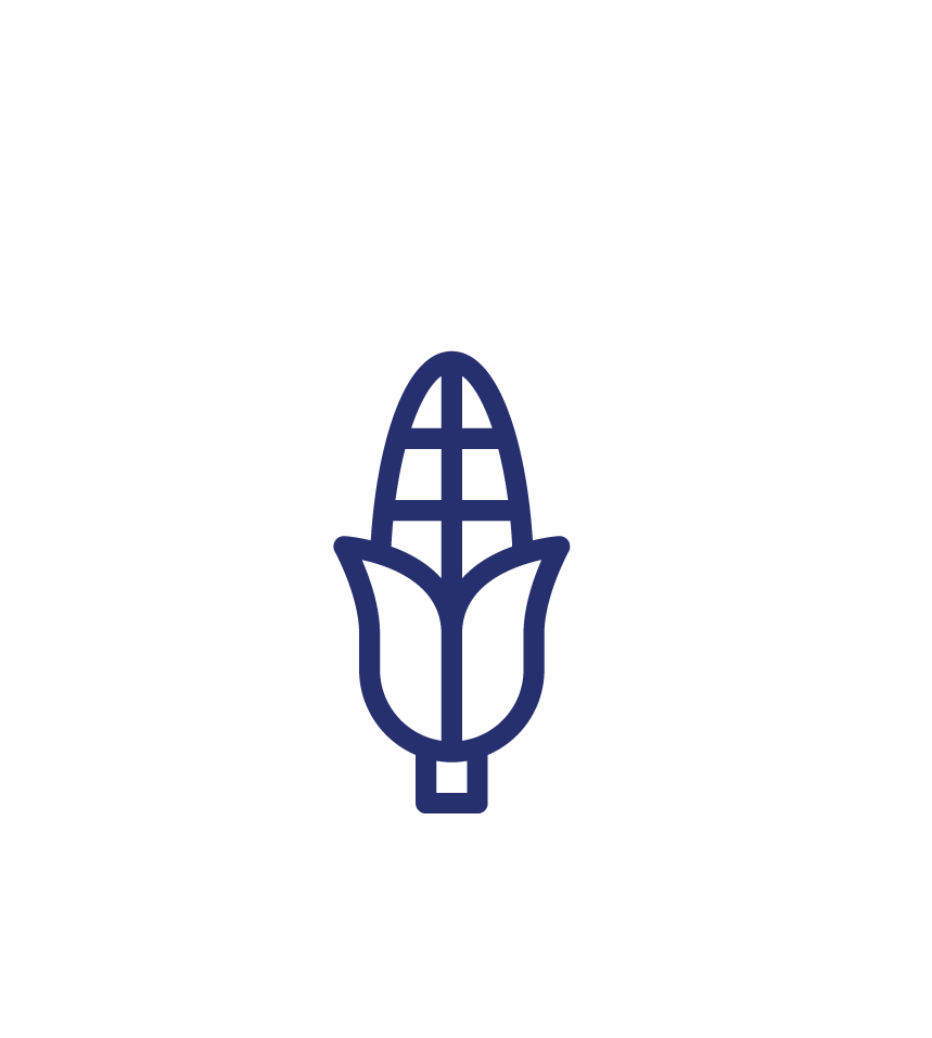 blé