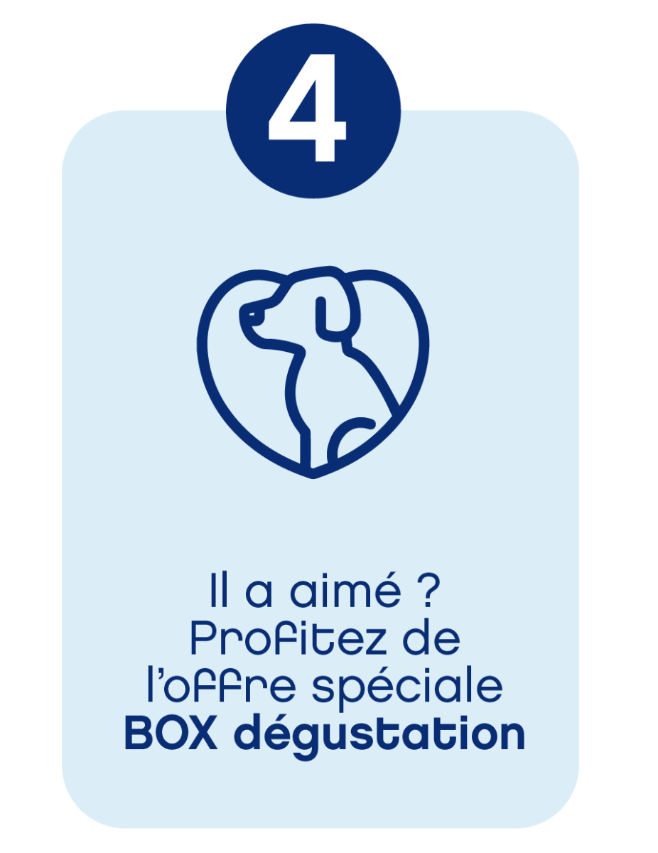 Etape 4 chien chat