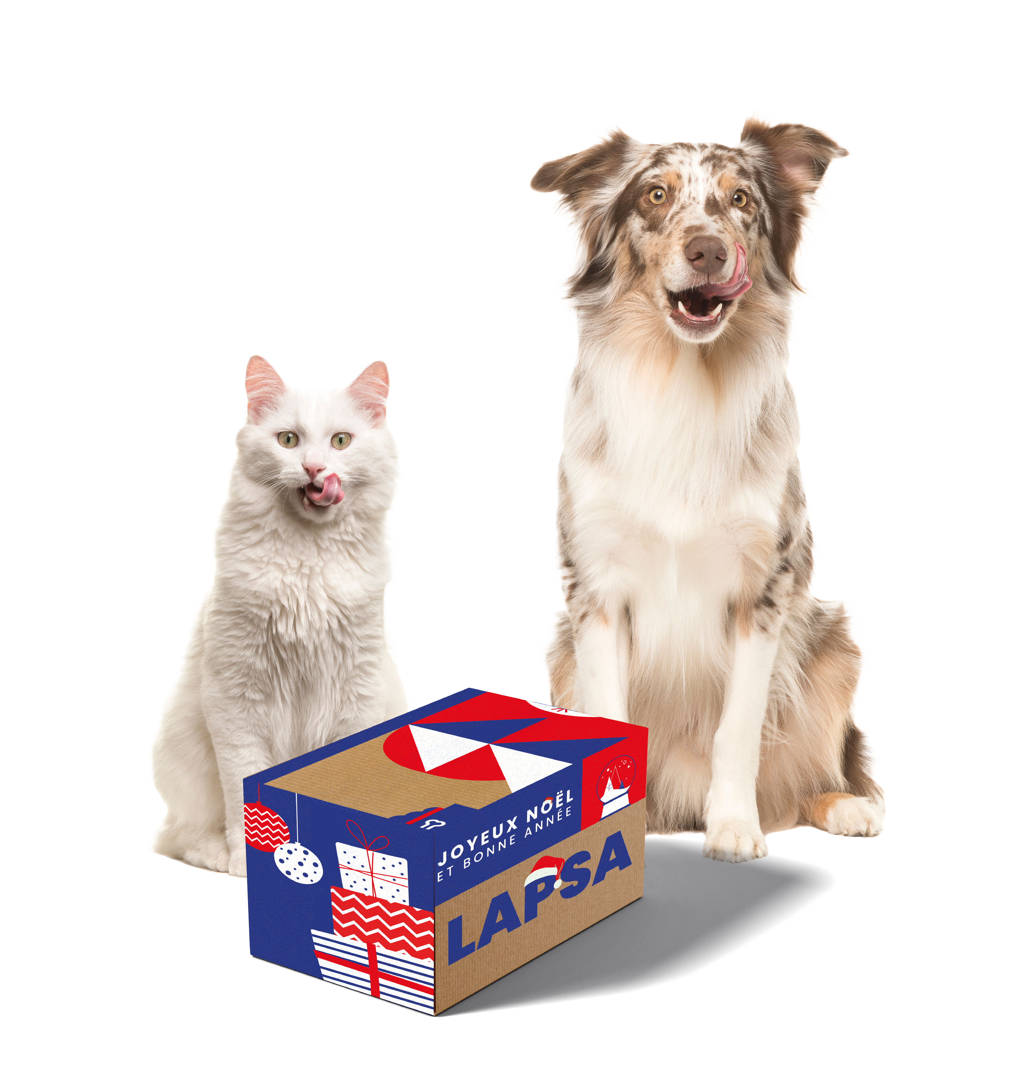 box Noël LAPSA 