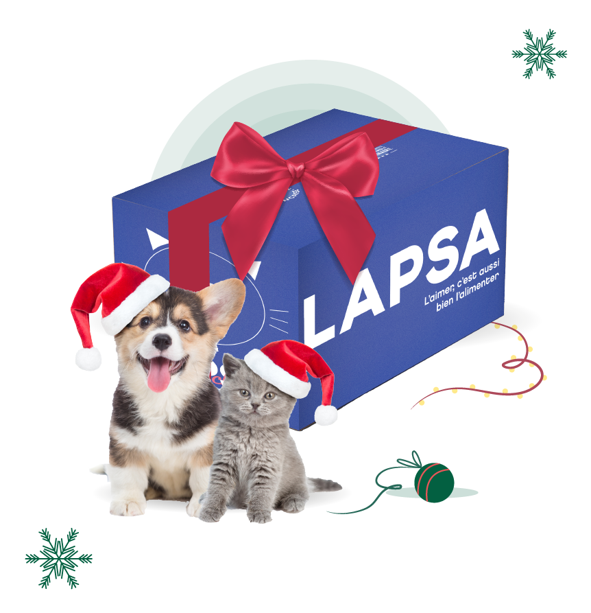 box Noël LAPSA