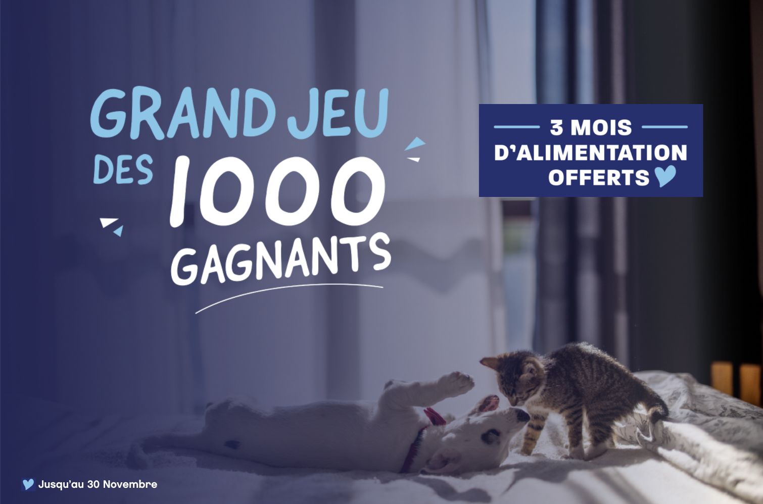 image grand jeu lapsa