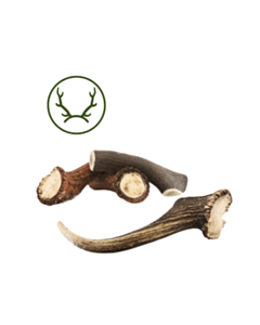 Bois de cerf entier chien