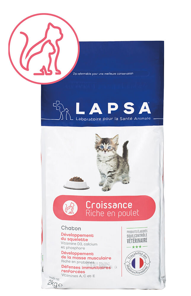 croquettes chaton croissance