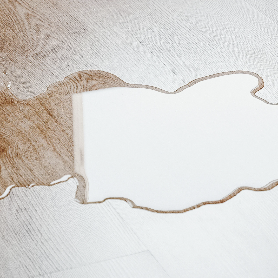 Chien avec accidents de litière