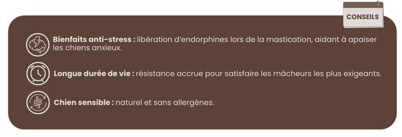 Conseils bois de cerf