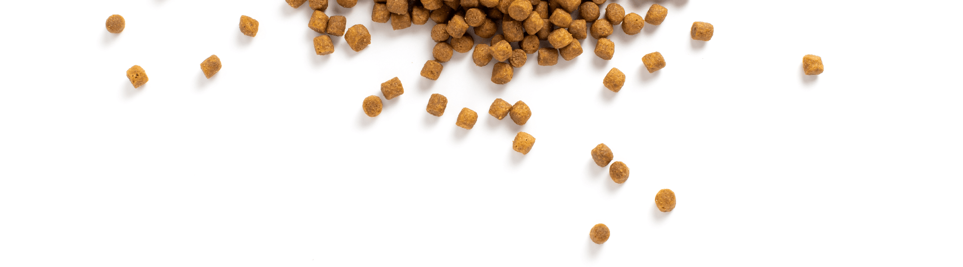 croquettes
