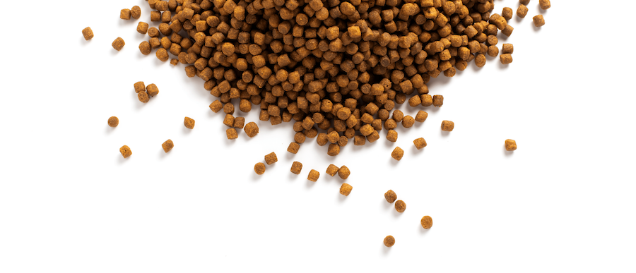 croquettes