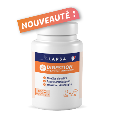 Complément Digestif LAPSA