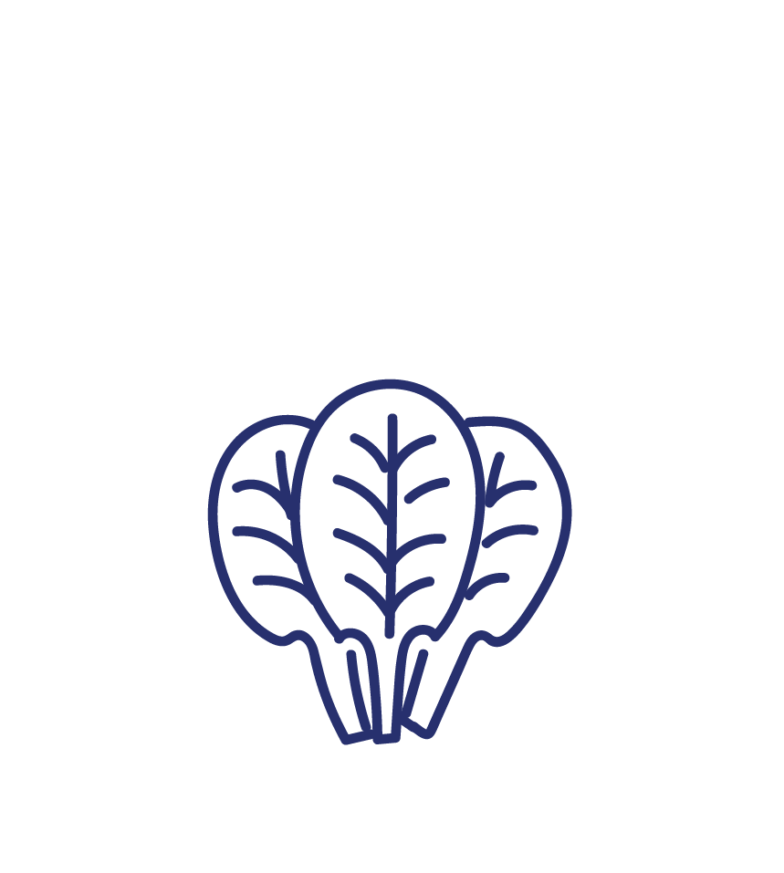 Épinard