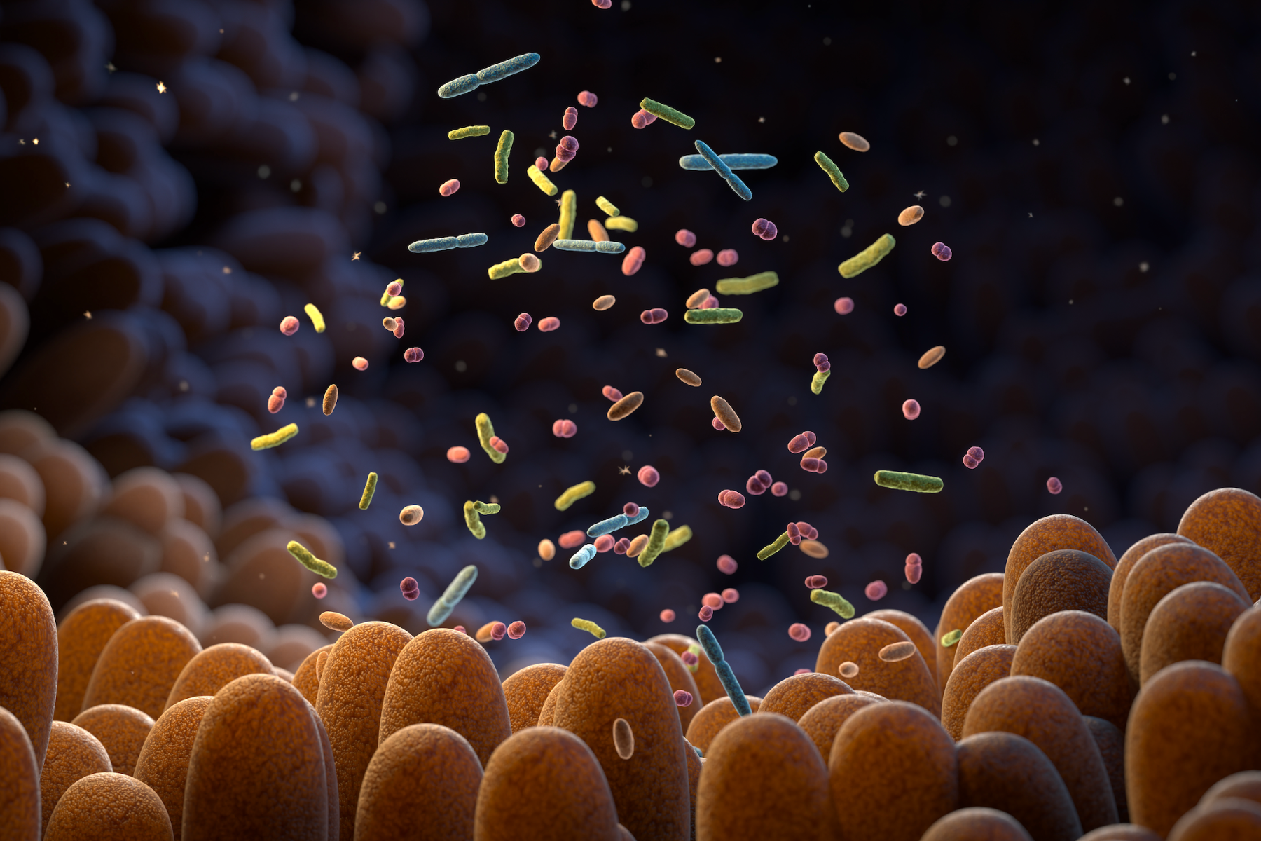 microbiote