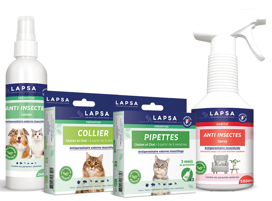 pack complet chat