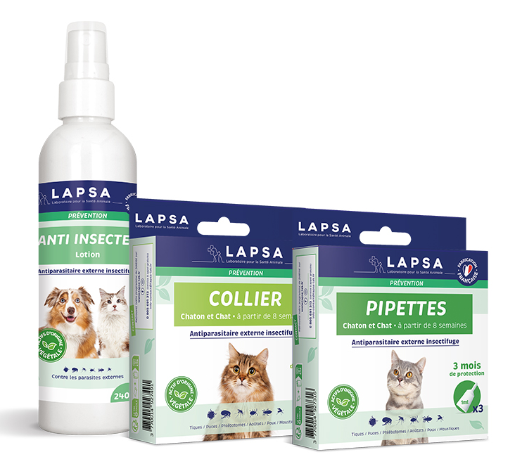 pack prevention plus chat