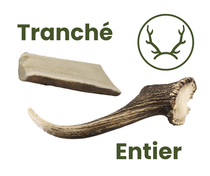 Bois de cerf entier pour chien