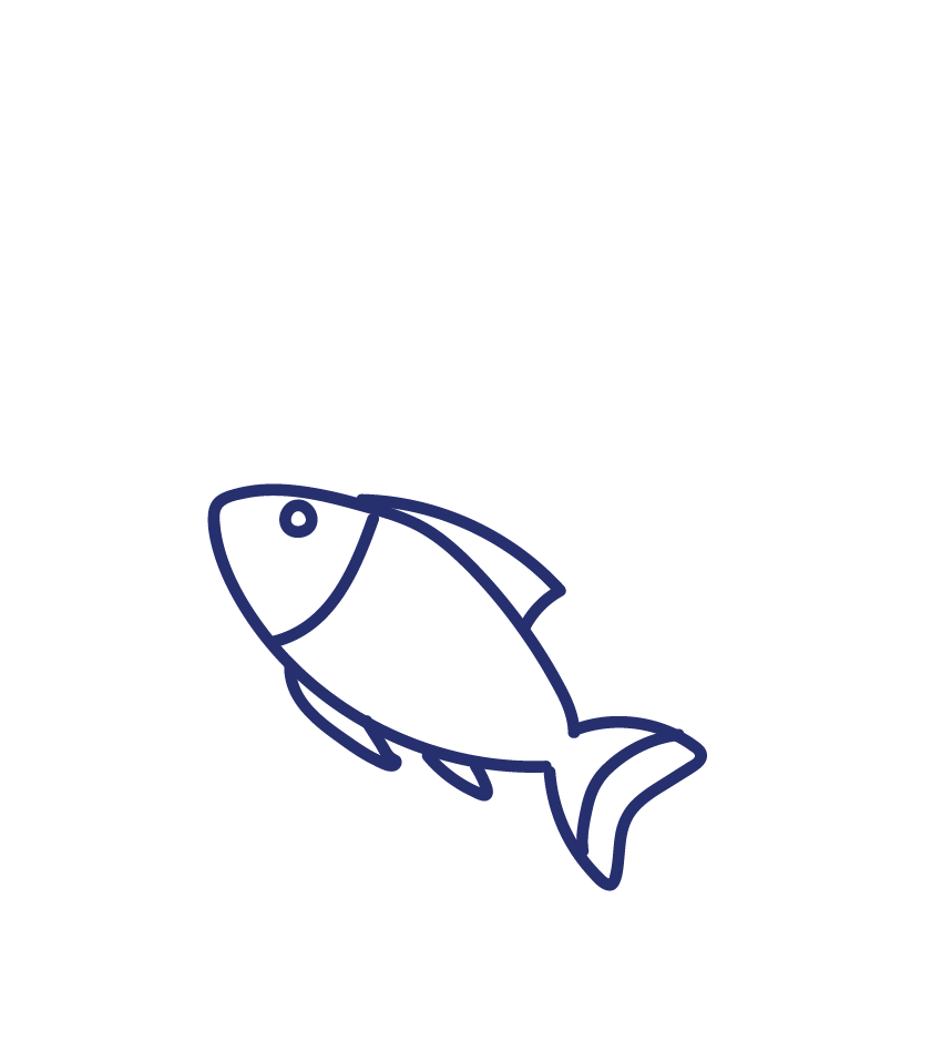 saumon