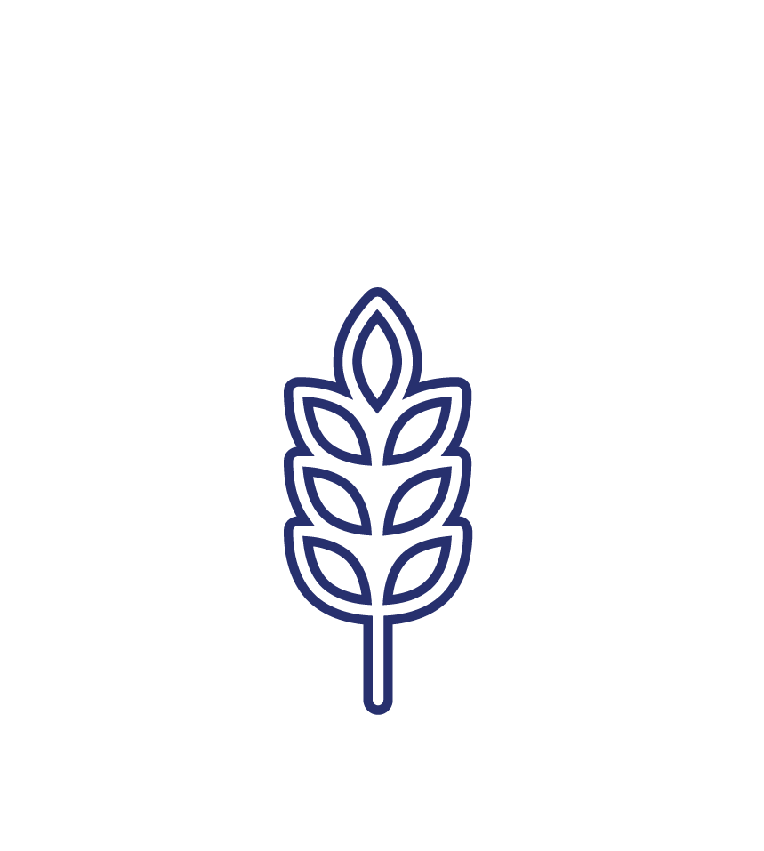 son de blé